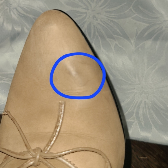 Borelli Suede Pumps - Picture 11 of 15